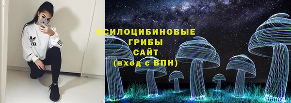 дживик Армянск