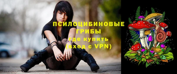 бошки Аркадак