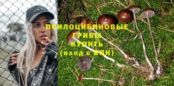 бошки Аркадак